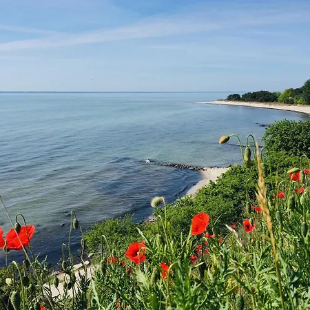 Haus Concordia 2 Strandgut