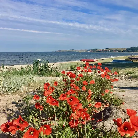 Apartman Haus Concordia 2 Strandgut *