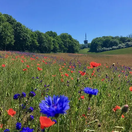 Haus Concordia 2 Strandgut Apartman