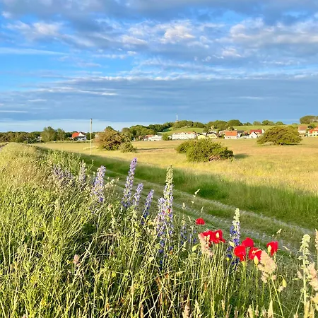 Haus Concordia 2 Strandgut